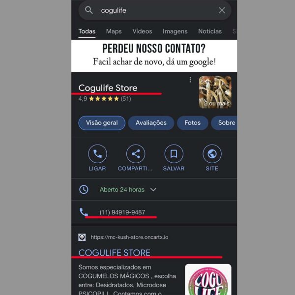 Compre 6g leve 8g  a VÁCUO |  P. Azurenscens | Cogumelos mágicos - Image 10