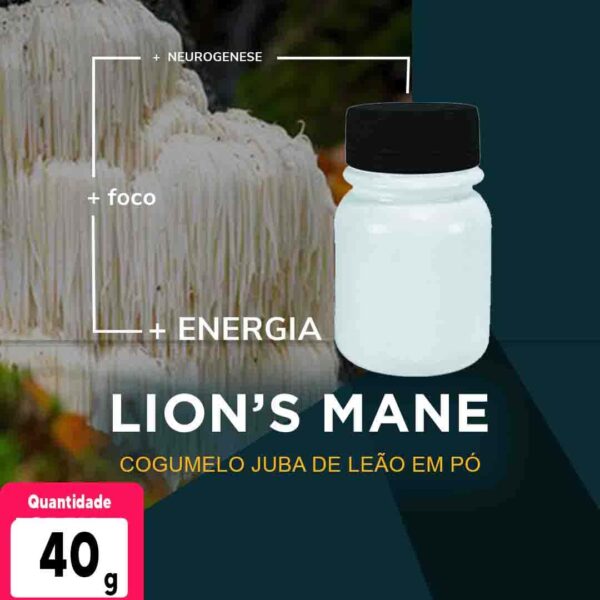 Lions Mane em Pó 40g  | Aumente sua Performance Mental