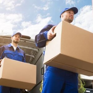 SEU PEIDODO VOLTOU? Pague aqui novamente o seu frete.