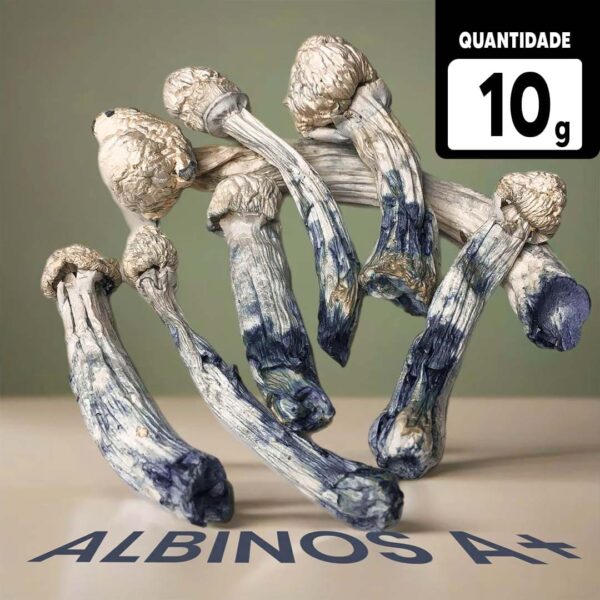 ALBINOS A+ COMPRE 10g LEVE 12g Desidratados  À VÁCUO  | Comprar Cogumelos mágicos