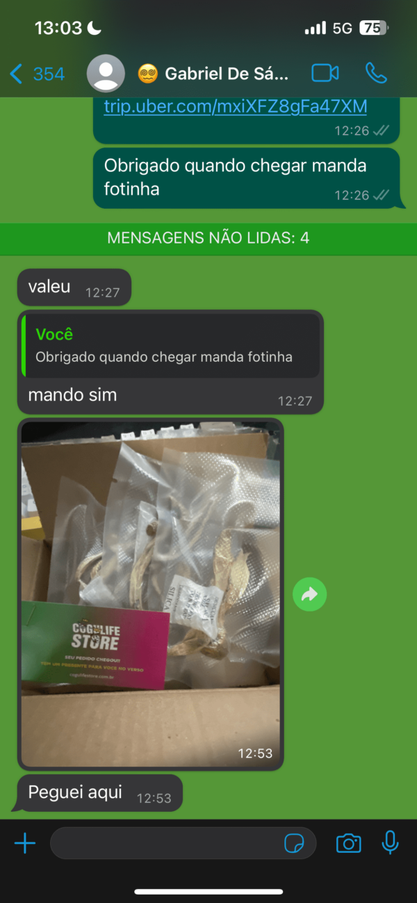 Compre 6g leve 8g  a VÁCUO |  P. Azurenscens | Cogumelos mágicos - Image 7
