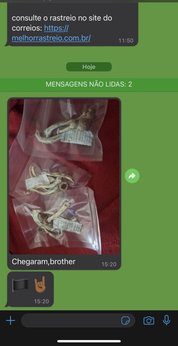 RATEIO  8g a VÁCUO - P. Cubensis Desidratados | Cogumelos mágicos - Image 8