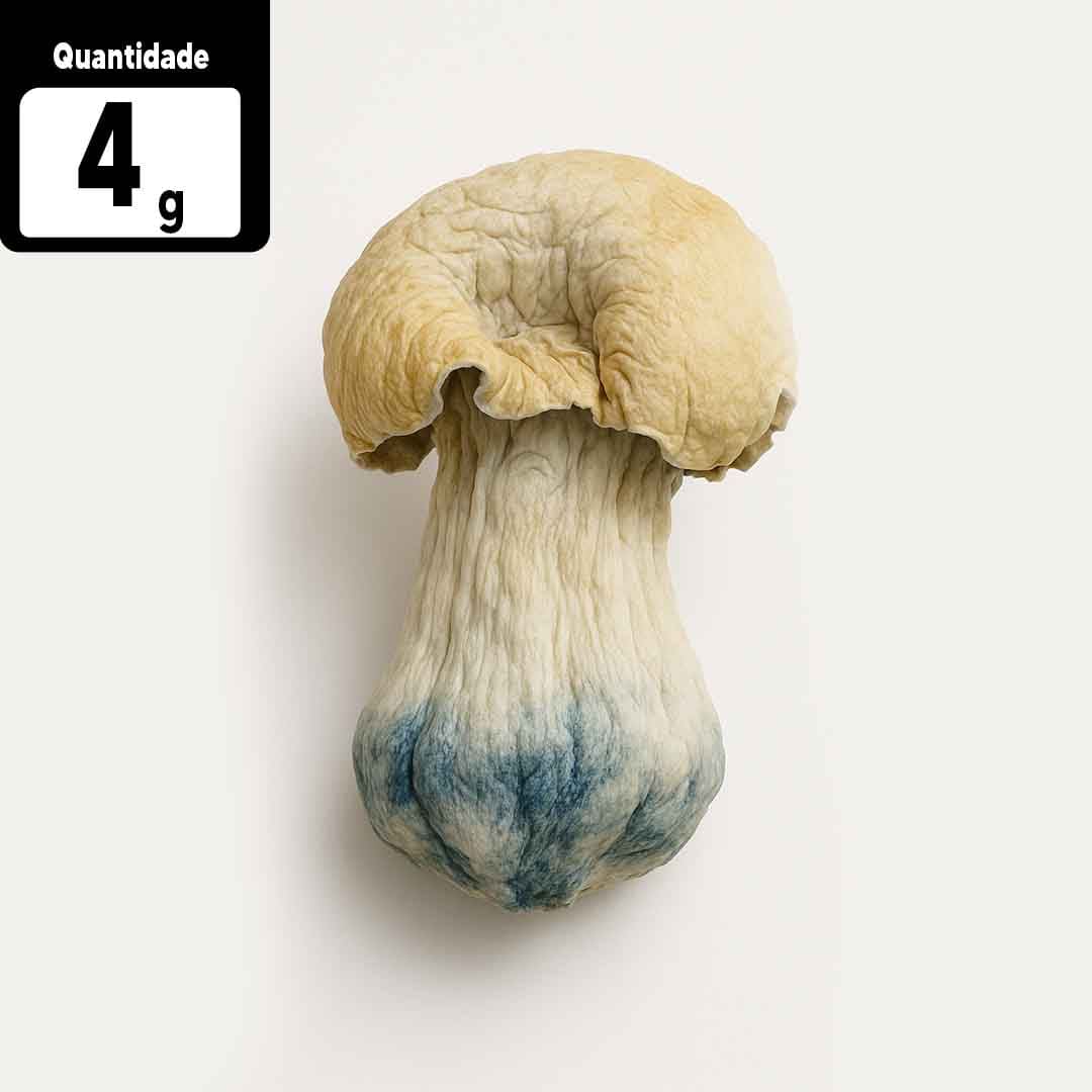 4g Albino Penis Envy | Comprar Cogumelo mágico SP